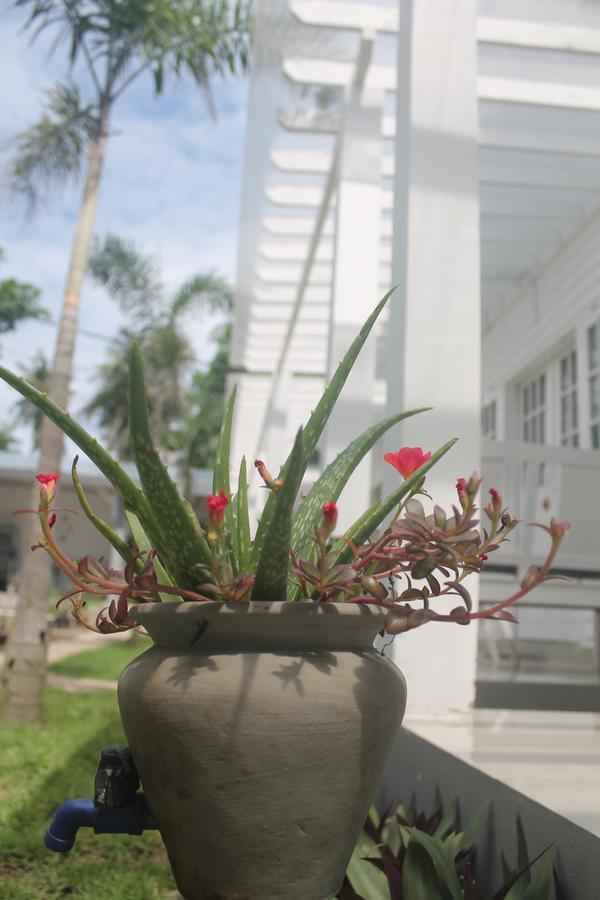 Casa Blanca Gili Air Hotel Bagian luar foto
