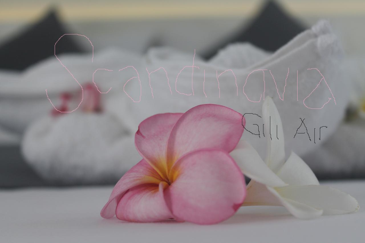 Casa Blanca Gili Air Hotel Bagian luar foto